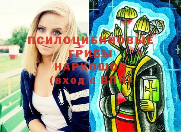 первитин Володарск
