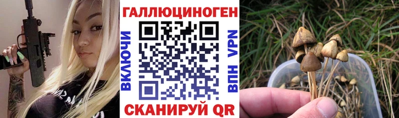 Псилоцибиновые грибы GOLDEN TEACHER  Купить где  Петушки 